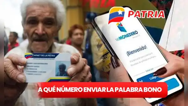 ¿Se ACTIVÓ un número para enviar la palabra BONO al Sistema Patria? Estos son los 3 ÚNICOS contactos HABILITADOS