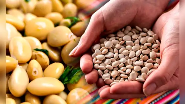 El 'superalimento' inca que crece hasta en 3 países de América Latina: combate la anemia, la diabetes y más
