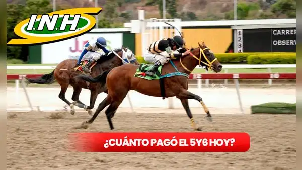 ¿Cuánto pagó el 5y6 de La Rinconada HOY, domingo 14 de julio? Revisa los dividendos y montos del INH EN VIVO