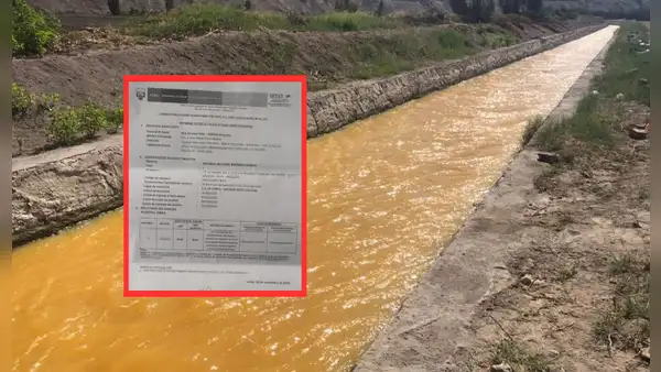Minsa alerta sobre niveles elevados de arsénico en niños del Valle del Tambo