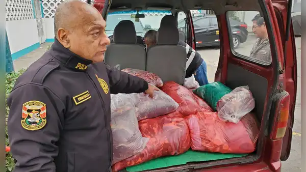 Capturan a comerciantes que pretendían vender 350 kilos de carne de caballo en Puente Piedra