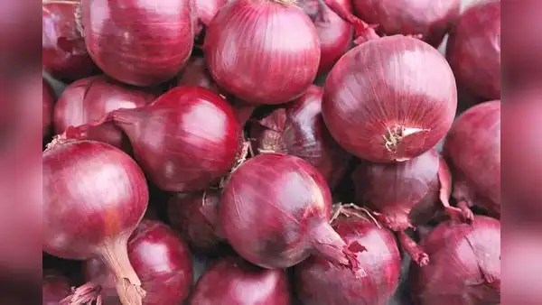 Se viene sobreoferta de ají, cebolla, zapallo y tomate: precios en mercados podrían desplomarse
