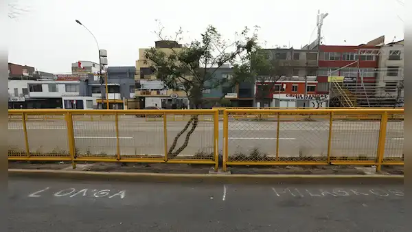 Lotizan zonas de av. Brasil por Fiestas Patrias: espacios tienen nombres asignados para el Gran Desfile Militar
