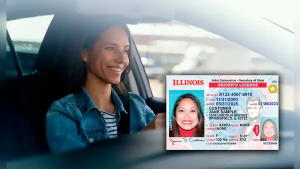 Licencia de conducir en Illinois: esta es la nueva medida para quienes residen legalmente en Estados Unidos