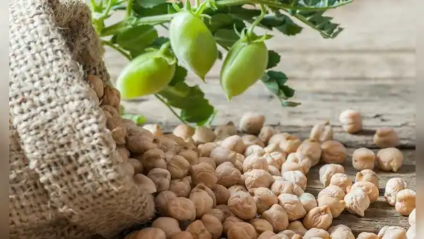 Ni la leche, ni el pescado: este es el alimento que aporta más calcio al cuerpo y ayuda a reducir el colesterol