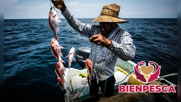 Bienestar 2024: conoce los importantes REQUISITOS para recibir los $7.500 pesos de Bienpesca