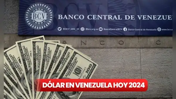 ¿Cómo quedó el dólar en Venezuela tras las elecciones 2024, según BCV y DolarToday?