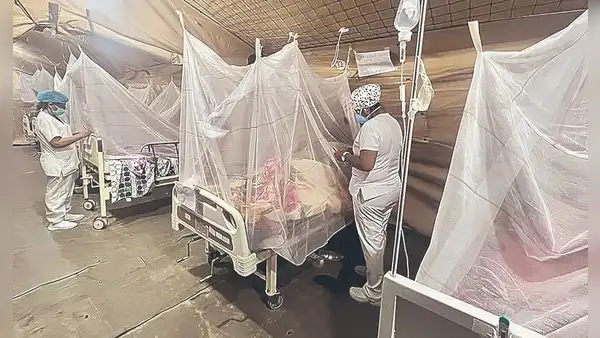 Cifras del dengue que dio Boluarte no cuadran y hay más casos que en 2023