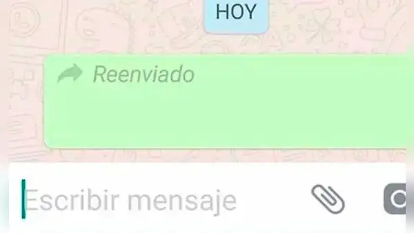 WhatsApp lanza función para descubrir si un contacto reenvió un mensaje o foto que le mandaste