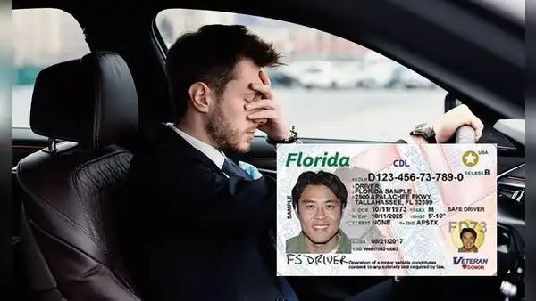 Licencia de conducir en Florida: conoce las nuevas medidas y cambios que aplican desde agosto