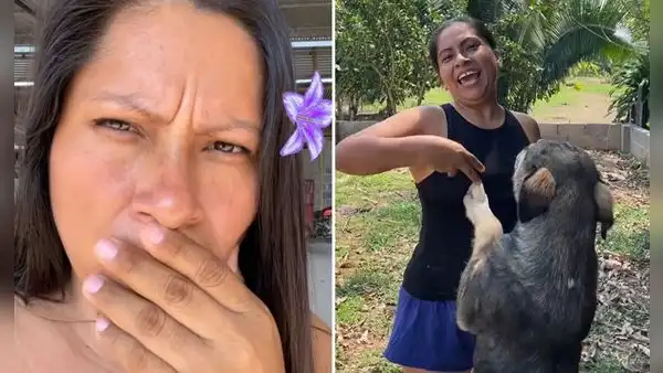 Lis Padilla da contundente respuesta a seguidora que la criticó y usuarios la apoyan: “Eres la diva del TikTok”