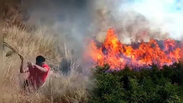 Incendio forestal en Huánuco arrasa más de 150 hectáreas de bosques y afecta a menor