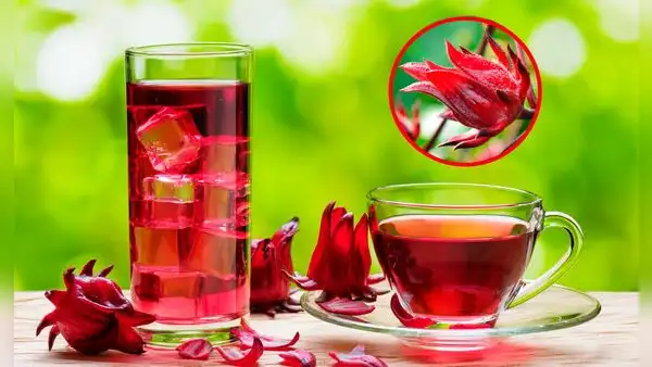 La flor de Jamaica posee muchos beneficios, pero no debes tomarla si tienes estas enfermedades