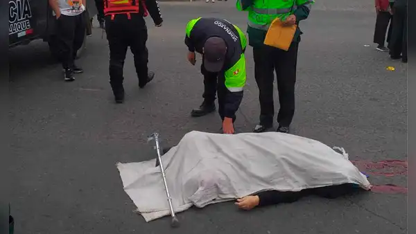 Accidente de tránsito en Comas deja una víctima mortal: bus atropelló a anciana que intentaba cruzar la av. Túpac Amaru