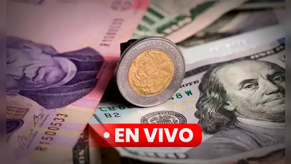 Precio del DÓLAR en México HOY, 8 de agosto: revisa el tipo de cambio en el Banco Azteca, BBVA, y otros