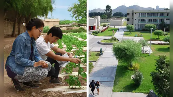 Esta universidad nacional es la más grande del Perú: superó a la UNMSM y está presente en la Costa, Sierra y Selva
