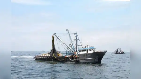Produce: Decreto para la prevención de la pesca ilegal se publicaría el 15 de agosto