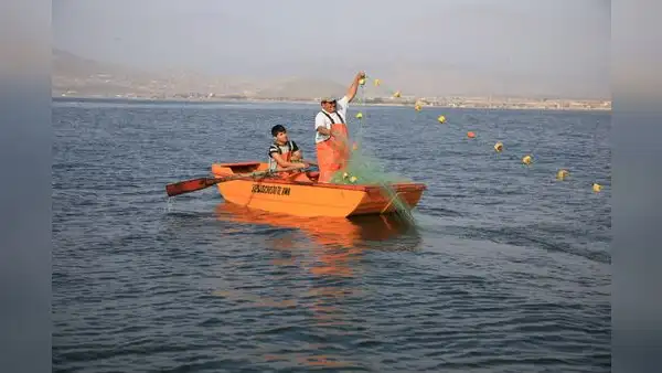 Produce publicó reglamento para ordenamiento de pesca artesanal y de menor escala