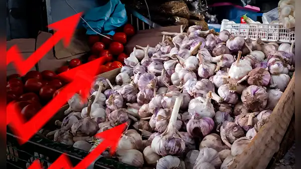 Sube precio del ajo en el Perú: ¿cuánto cuesta el kilo en Lima y regiones?