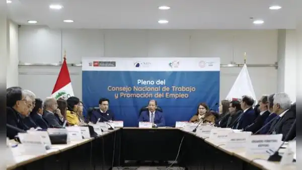 En 30 días se evaluará informe sobre alza de la RMV