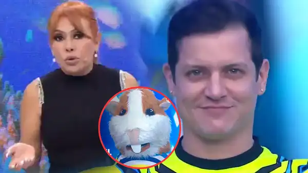 Magaly Medina ridiculiza a Gino Pesaressi tras su regreso a ‘Esto es guerra’ y lo compara: "Más simpatía tenía el cuy"