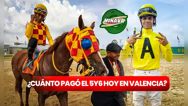 ¿Cuánto pagó el 5y6 HOY, 17 de agosto, en Valencia? Monto sellado, cuadros con 6 y dividendos del Hinava vía INH TV