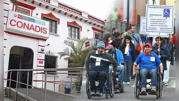 Organizaciones exigen programa de cuidados en la modificación de la Ley de Personas con Discapacidad
