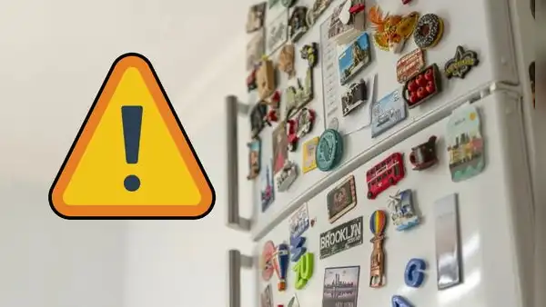 ¿Es peligroso poner imanes en la refrigeradora? Este es el motivo por el que no debes hacerlo
