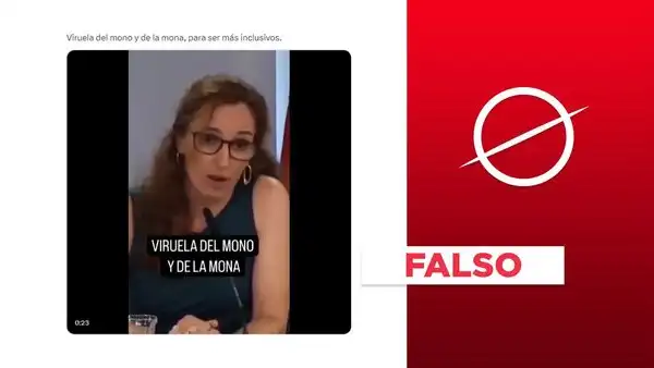Ministra de Sanidad de España no llamó a la enfermedad "viruela del mono y de la mona": es un montaje