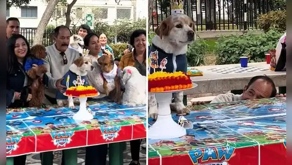 Peruano celebra a lo grande el cumpleaños de su perro con amigos del parque en Lima
