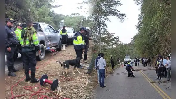 Accidente en la Carretera Central: minivan cae a abismo durante la madrugada y dos personas fallecen