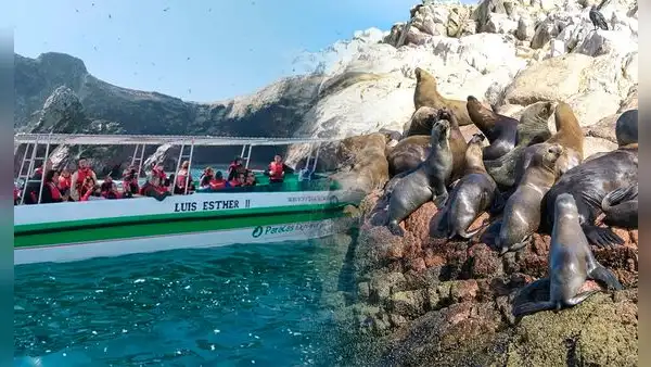 ¿Realmente fuiste a Islas Ballestas o era Isla Blanca? Cómo diferenciarlas y así evitar estafas durante tu viaje