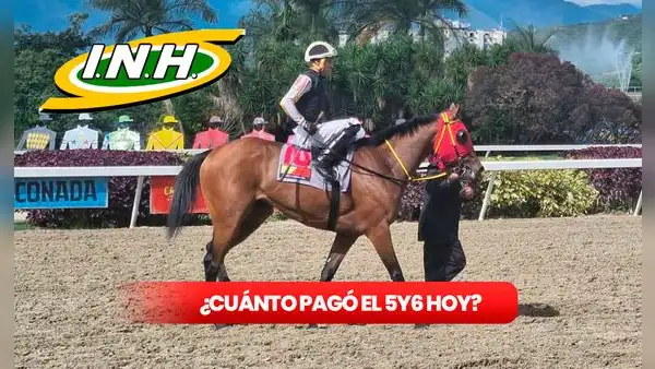 ¿Cuánto pagó el 5y6 de La Rinconada HOY, 1 de septiembre? Montos oficiales del INH y dividendos de la R33