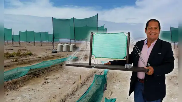Ingeniero cusqueño crea 'atrapaneblinas': sistema que produce 400 litros de agua al día para vecinos de VMT