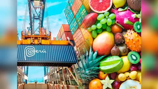 Estas son las 3 frutas ricas en vitaminas que lideran la agroexportación del Perú al mundo: superan las 100 mil toneladas