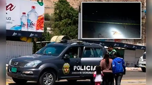 Arequipa: hallan cuerpo de adulto mayor en descomposición y atacado por perros