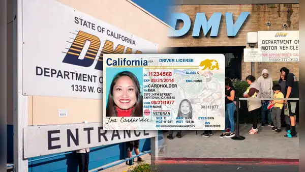 Licencia de conducir en California: la ley que acelera los trámites de los migrantes indocumentados en 2024