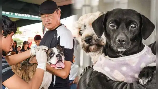 Campaña de veterinaria gratis en estos distritos de Lima este 14 de septiembre, horario y ubicación