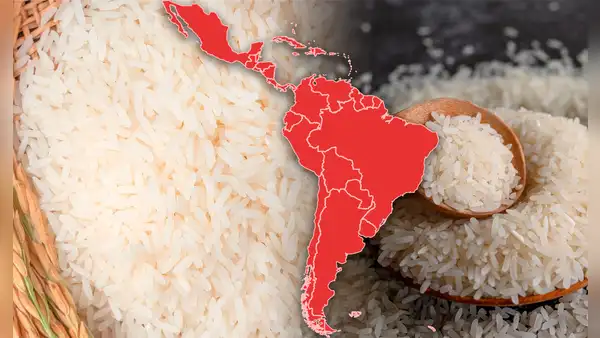 El país de América Latina que consume más arroz del mundo: superó como el más 'arrocero' a Perú y España