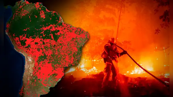Los países de Sudamérica más afectados por los incendios forestales: Perú entre los más perjudicados