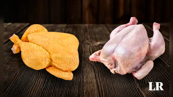 ¿Pollo amarillo o blanco?, ¿cuál es el más saludable? Esta es la principal diferencia
