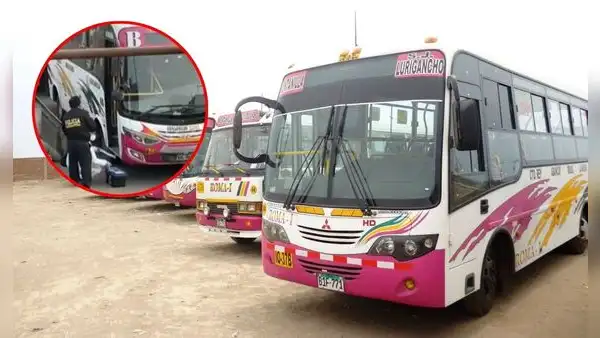 Buses de Consorcio Roma ruta SJL-Ventanilla dejan de operar por extorsión: falso pasajero disparó a conductor