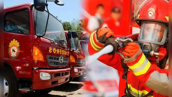 ¿Sin chamba? Intendencia Nacional de Bomberos ofrecen trabajo para personas con secundaria completa: conoce requisitos