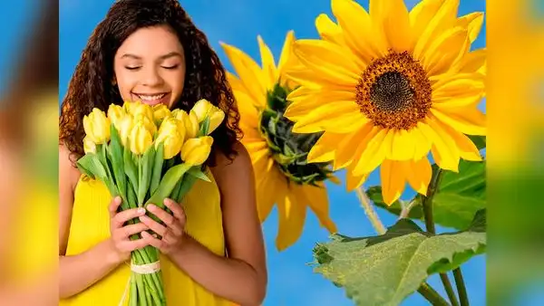 ¿Qué significan regalar flores amarillas y por qué se entregan cada 21 de septiembre?