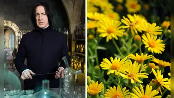 Así puedes hacer un ramo de flores amarillas de papel para obsequiar este 21 de septiembre