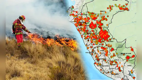 Incendios Forestales en Perú 2024 EN VIVO, Hoy: aumenta a 16 los fallecidos y gremios exigen declarar emergencia