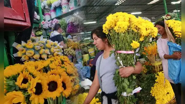 ¿Dónde comprar flores amarillas en Lima? Los 3 mercados imperdibles para el 21 de septiembre