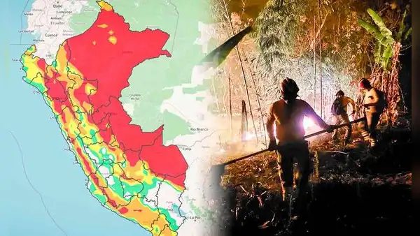 Incendios Forestales en Amazonas, Perú 2024: Dina Boluarte asegura que sobrevoló incendios forestales “exponiendo su vida”