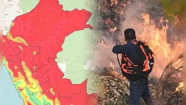 Primavera al rescate: inicio de estación podría salvar regiones afectadas por incendios forestales, según Senamhi