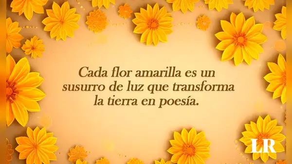 Imágenes de flores amarillas con frases para dedicar este 21 de septiembre